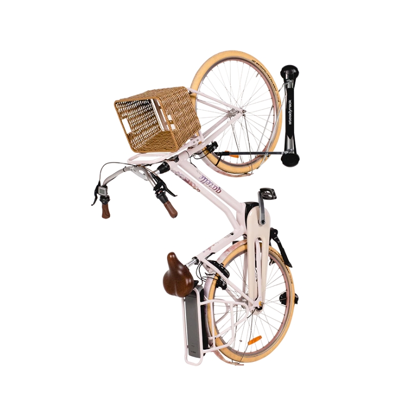 2005998043-2-jpg Stenski nosilec STEADYRACK E-Bike