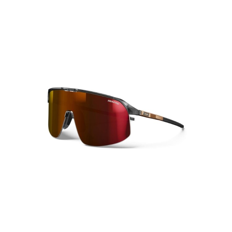 Očala JULBO Density Reactiv Translucent Black