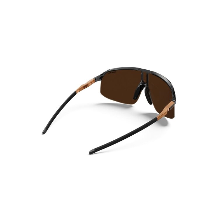 Očala JULBO Density Reactiv Translucent Black