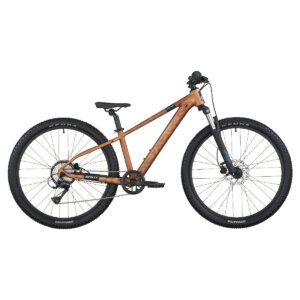 Otroško kolo SCOTT ROXTER 600 2025