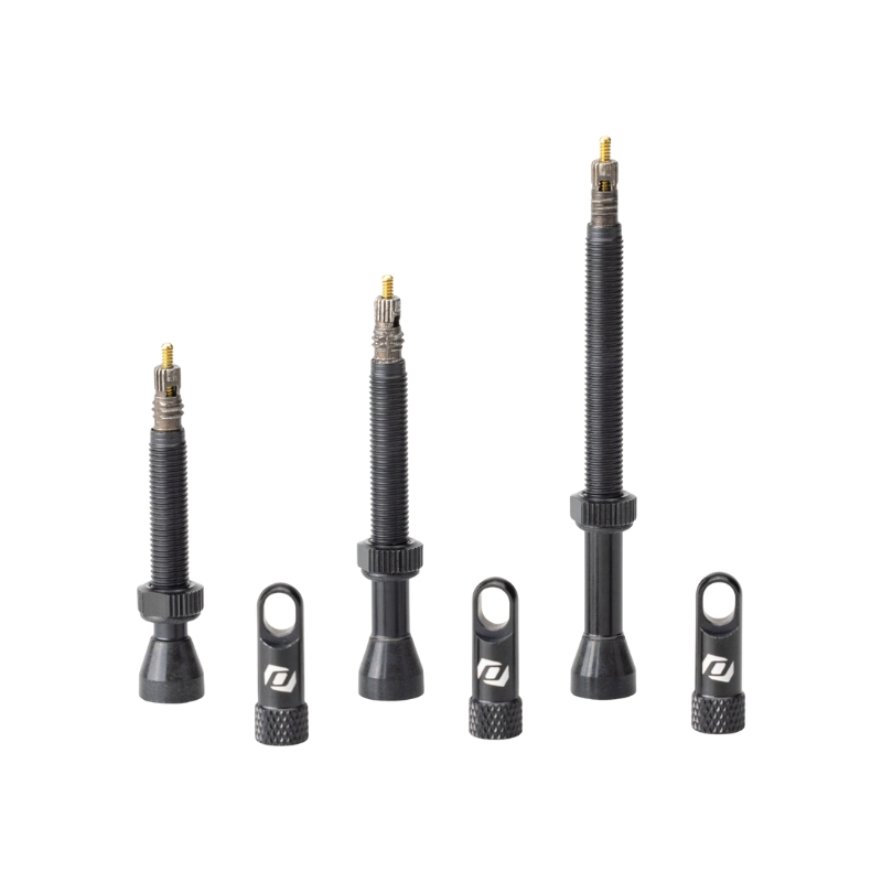 419487-202-1-jpg SYN TUBELESS VENTIL 80MM