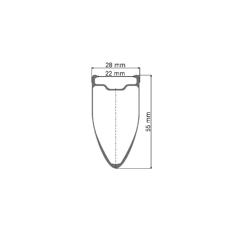 Zadnji obročnik DT SWISS ARC 1400 Dicut 55 CL