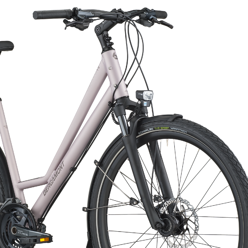 Mestno kolo BERGAMONT Vitess 10 Amsterdam 26