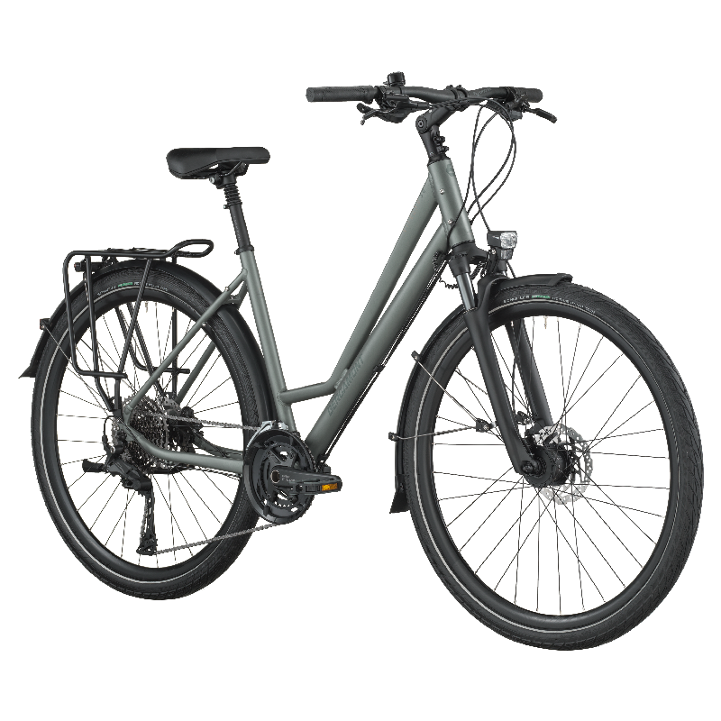 Mestno kolo BERGAMONT Vitess 30 Amsterdam grey 26