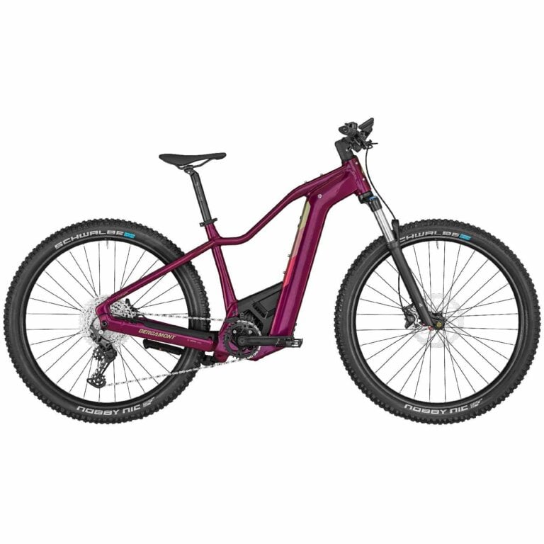 Električno gorsko kolo BERGAMONT E-Revox Pro FMN žensko Električno gorsko kolo BERGAMONT E-Revox Pro FMN žensko